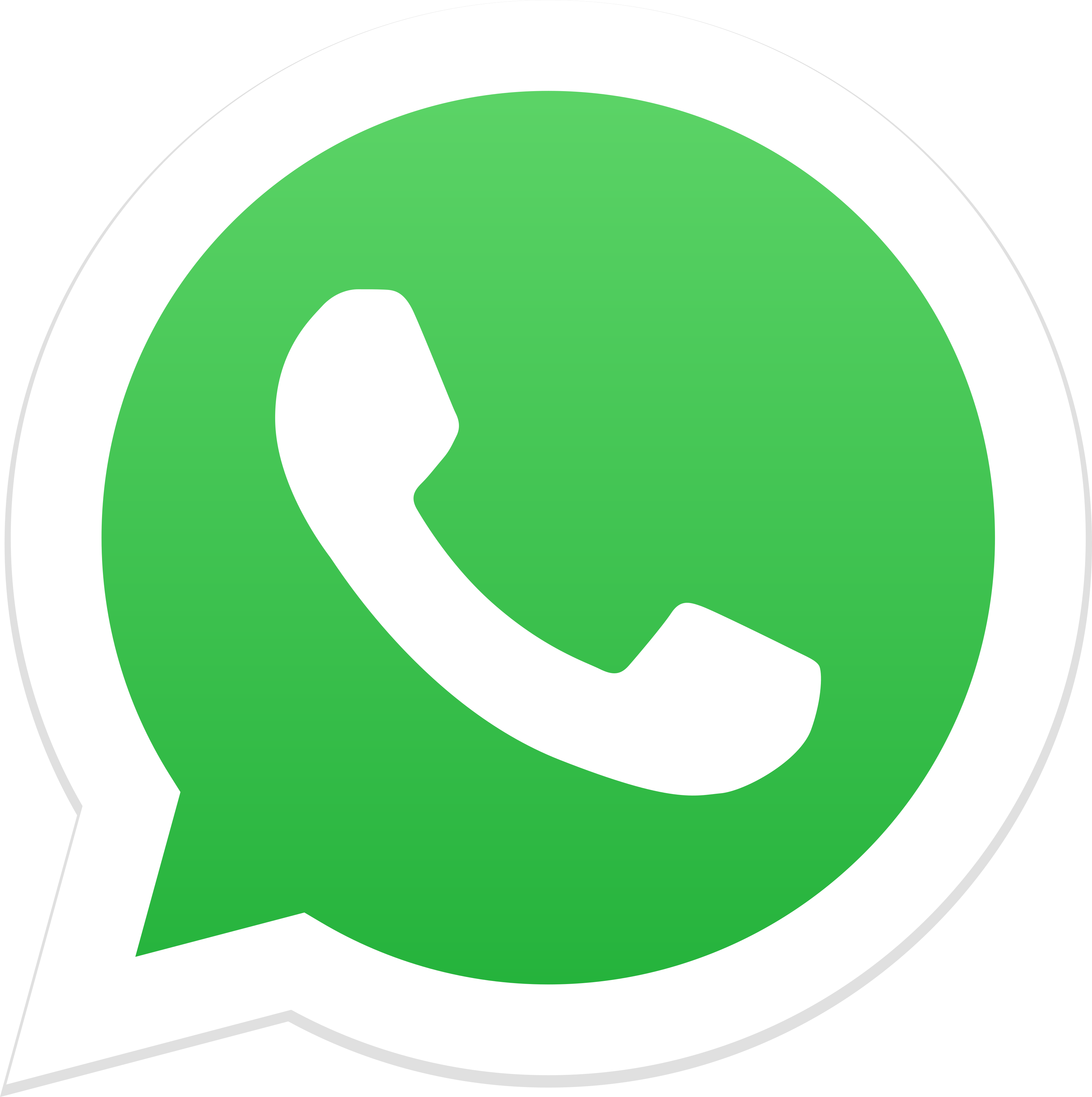 Whatsapp Servicios Cristal | Control de plagas